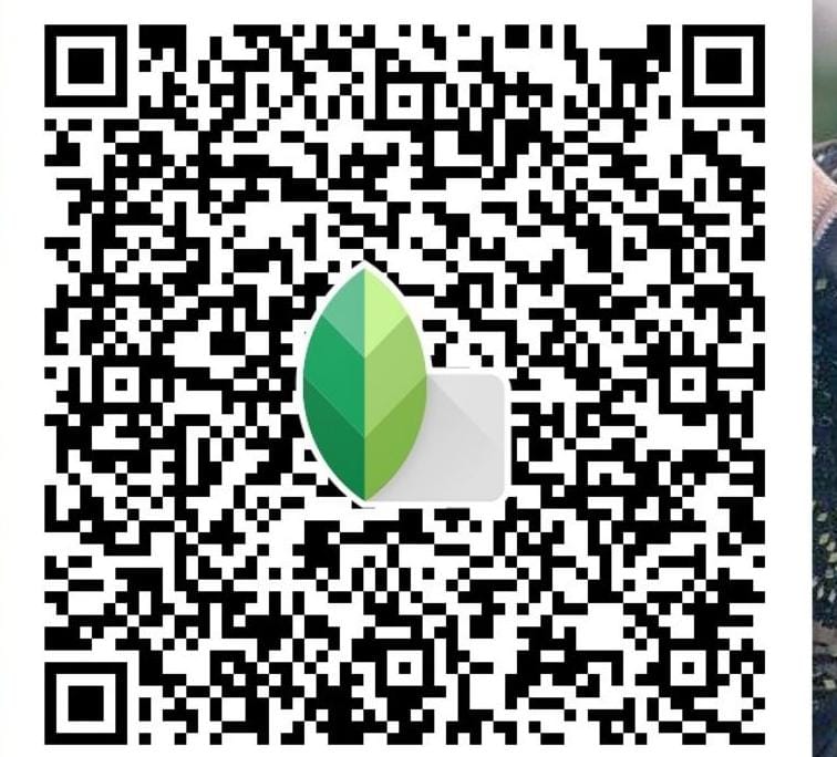 Snapseed QR codes blur background