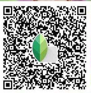 Snapseed QR codes blur background