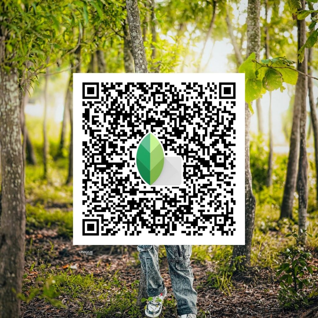 Snapseed QR Codes DSLR