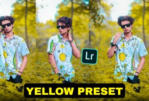 Lightroom Yellow Lightroom Presets